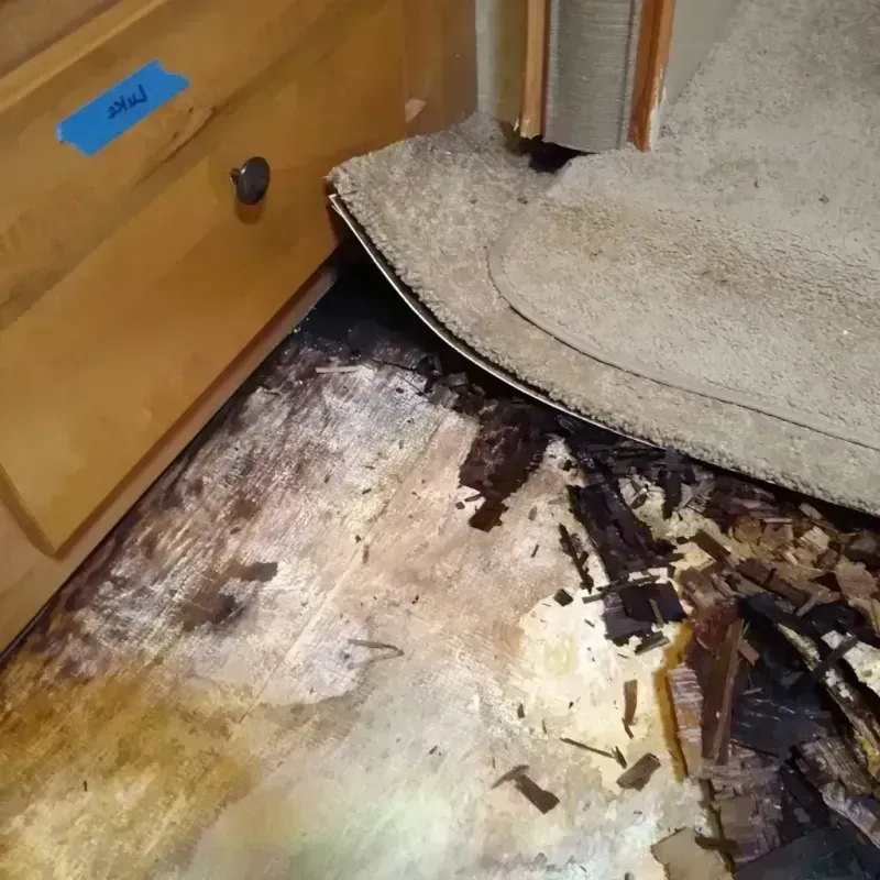 Best Wood Floor Water Damage Service in Galesville, WI